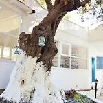 Misket Hotel Bodrum * Gümüşlük