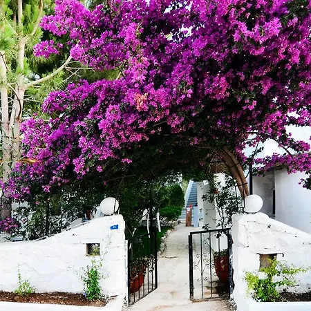 فندق مسكيت بودروم  غوموشْلوك