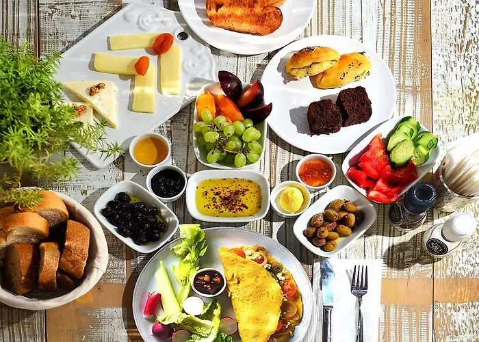 فندق مسكيت بودروم  *