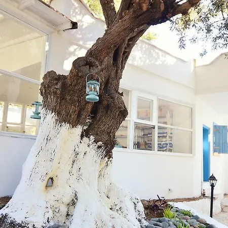 Misket Hotel Bodrum * Gümüşlük