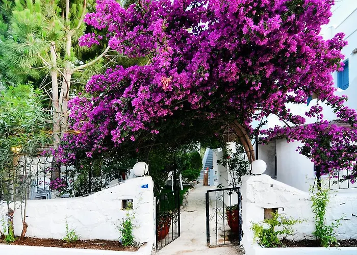 Misket Hotel Bodrum Gümüşlük